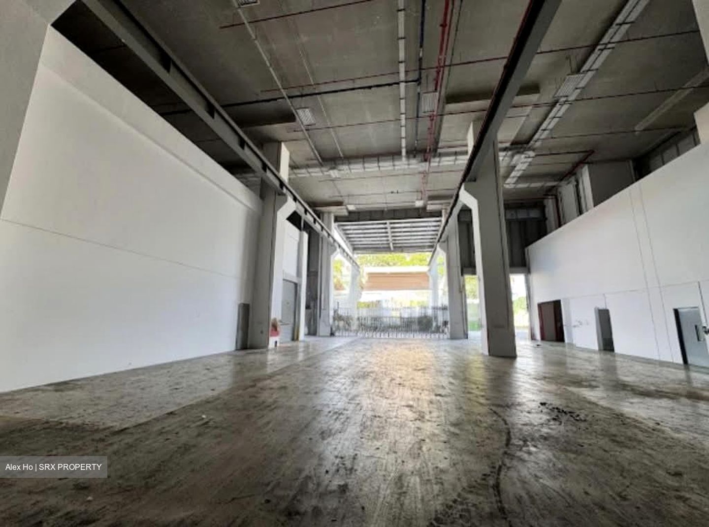 Loyang Industrial Estate (D17), Warehouse #600983831